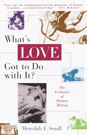 What's Love Got to Do with It? by Meredith Small