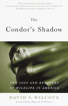 The Condor's Shadow by David S. Wilcove