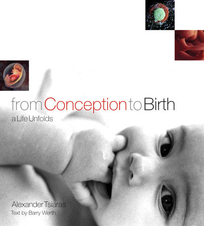 From Conception to Birth by Alexander Tsiaras