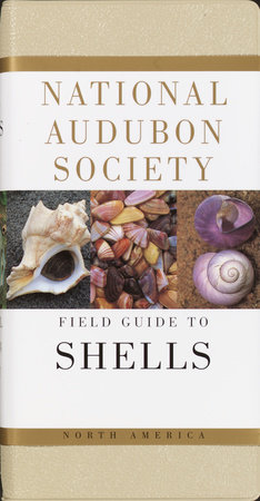 National Audubon Society Field Guide to Shells by National Audubon Society