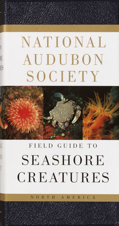 National Audubon Society Field Guide to Seashore Creatures by Norman A. Meinkoth