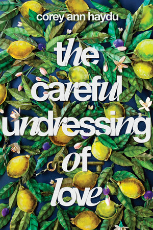 The Careful Undressing of Love by Corey Ann Haydu