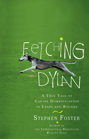 Fetching Dylan by Stephen Foster