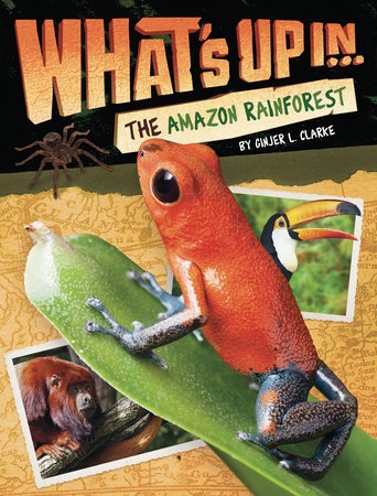 What's Up in the Amazon Rainforest by Ginjer L. Clarke
