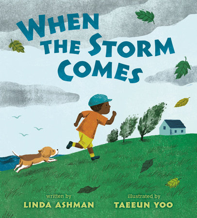 When the Storm Comes by Linda Ashman