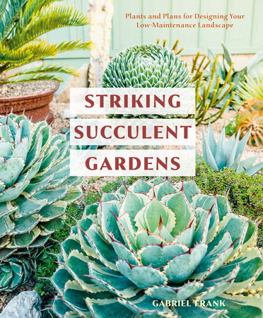 Striking Succulent Gardens by Gabriel Frank
