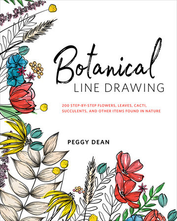 Botanical Line Drawing by Peggy Dean