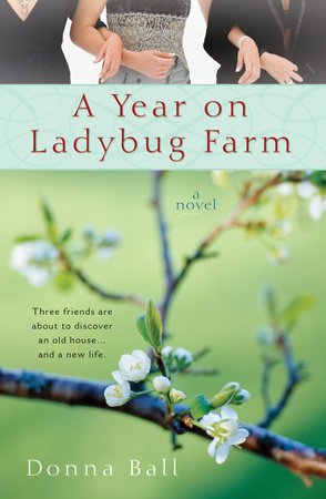 A Year on Ladybug Farm by Donna Ball