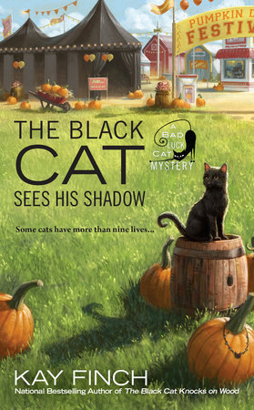 The Black Cat Sees His Shadow by Kay Finch