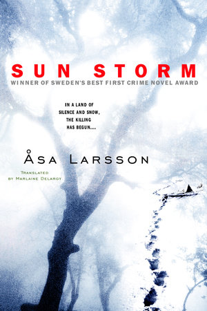 Sun Storm by Asa Larsson