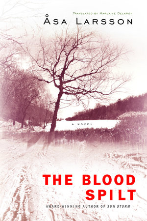 The Blood Spilt by Asa Larsson