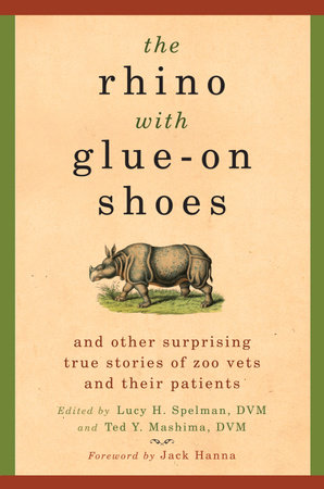The Rhino with Glue-On Shoes by 
