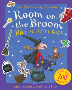 Room on the Broom by Julia Donaldson: 9780142501122