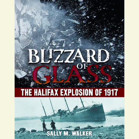 Blizzard of Glass by Sally M. Walker