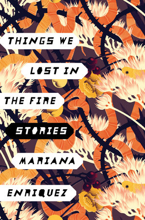 Things We Lost in the Fire Book Cover Picture