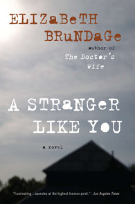 A Stranger Like You