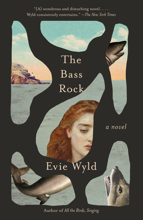 The Bass Rock by Evie Wyld