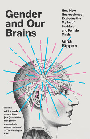 Gender and Our Brains by Gina Rippon