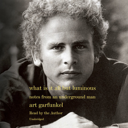 What Is It All but Luminous by Art Garfunkel