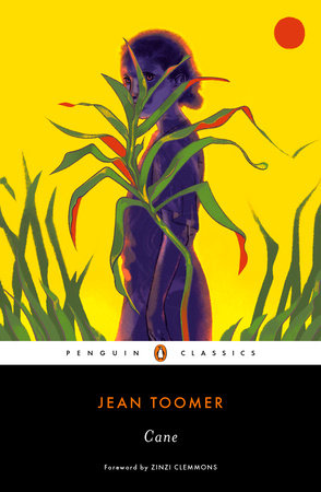 Cane By Jean Toomer 9780143133674 Penguinrandomhouse Com Books