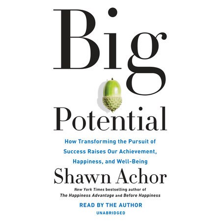 Big Potential by Shawn Achor