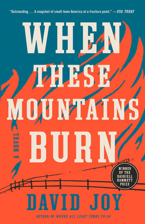 When These Mountains Burn by David Joy