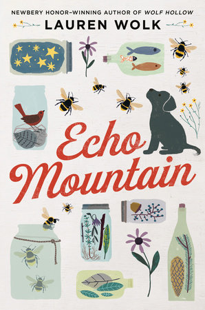 And the Mountains Echoed: A Novel [洋書] Amazon.com: And the Mountains Echoed: 9781594632389