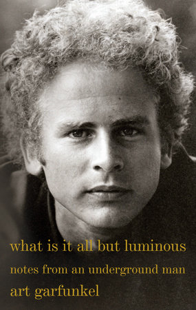 What Is It All but Luminous by Art Garfunkel