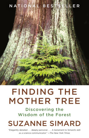 Finding the Mother Tree Book Cover Picture