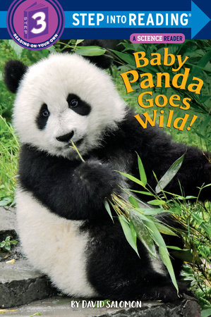 Baby Panda Goes Wild! by David Salomon