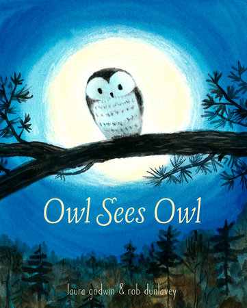 Owl Sees Owl by Laura Godwin and Rob Dunlavey