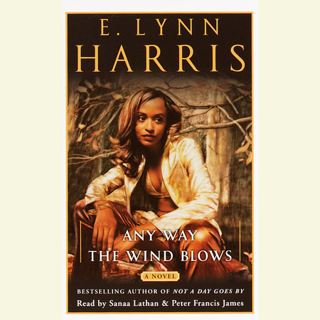 Any Way the Wind Blows by E. Lynn Harris
