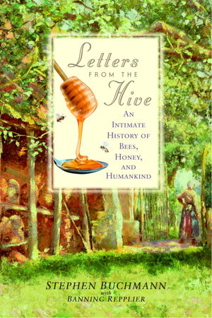 Letters from the Hive by Stephen Buchmann and Banning Repplier