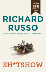 That Old Cape Magic by Richard Russo (2009, Hardcover) for sale online