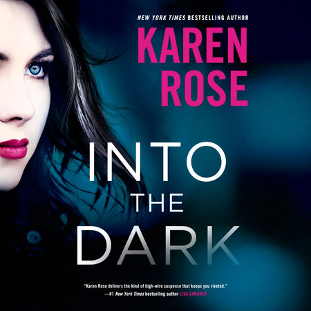Into the Dark by Karen Rose