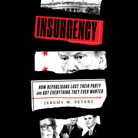 Insurgency by Jeremy W. Peters