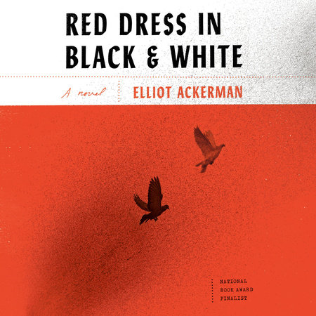 Red Dress in Black and White by Elliot Ackerman