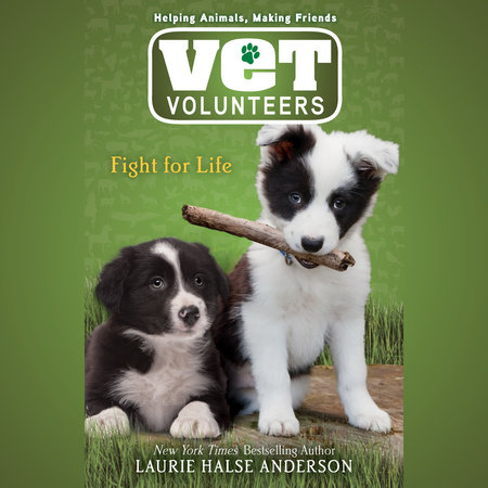 Vet Volunteers - 