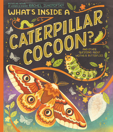 What's Inside a Caterpillar Cocoon? by Rachel Ignotofsky