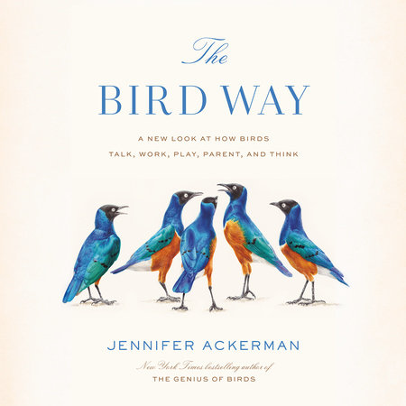 The Bird Way by Jennifer Ackerman