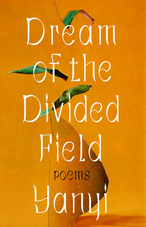 Dream of the Divided Field by Yanyi