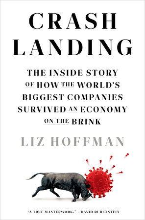 Crash Landing by Liz Hoffman