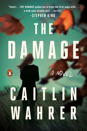The Damage by Caitlin Wahrer