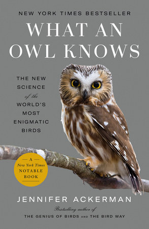 What an Owl Knows Book Cover Picture