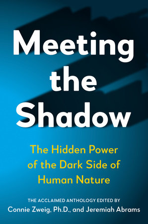 Meeting the Shadow by 