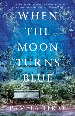 When the Moon Turns Blue by Pamela Terry