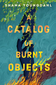 A Catalog of Burnt Objects