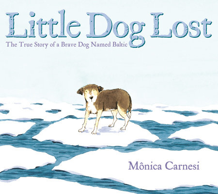 Little Dog Lost by Mônica Carnesi