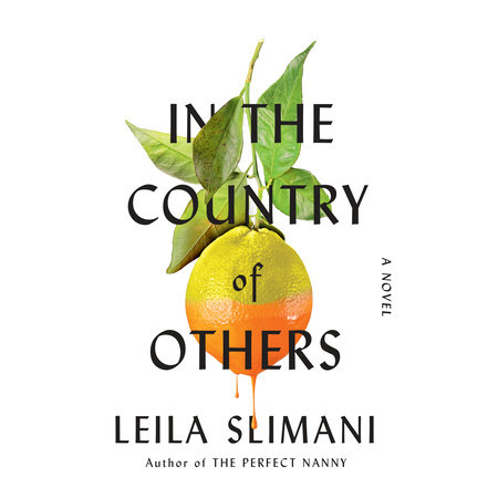 In the Country of Others by Leila Slimani