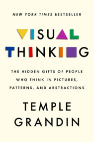 Visual Thinking